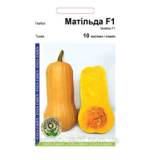 Насіння гарбуз Матильда F1 10шт. Enza Zaden  Голландія