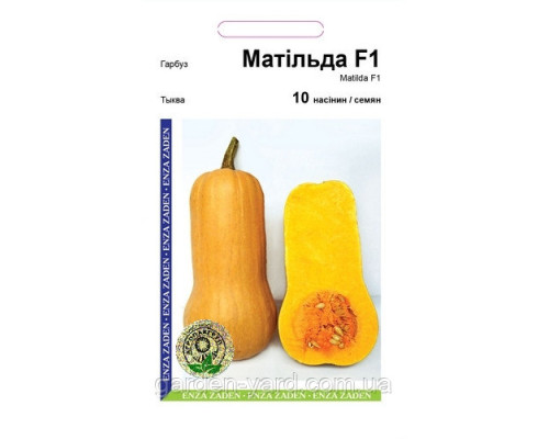 Семена тыква Матильда F1 10шт. Enza Zaden Голландия