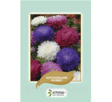 Семена астра Королевский размер  0,5г. Агропак плюс