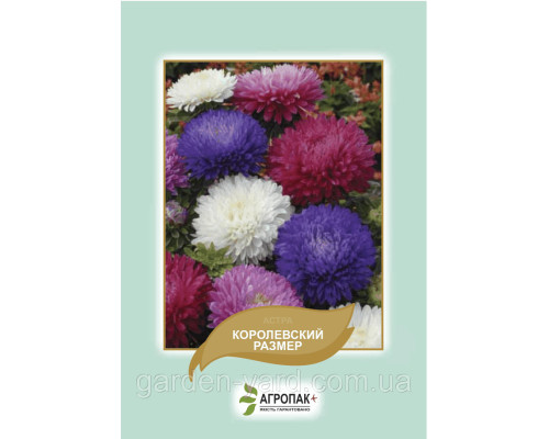 Семена астра Королевский размер  0,5г. Агропак плюс