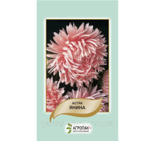 Семена астра Янина 0,2г. Агропак плюс