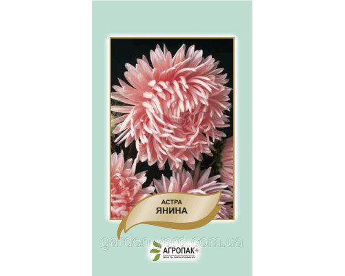 Семена астра Янина 0,2г. Агропак плюс