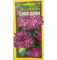 Насіння квітів астра Сива дама Флора плюс