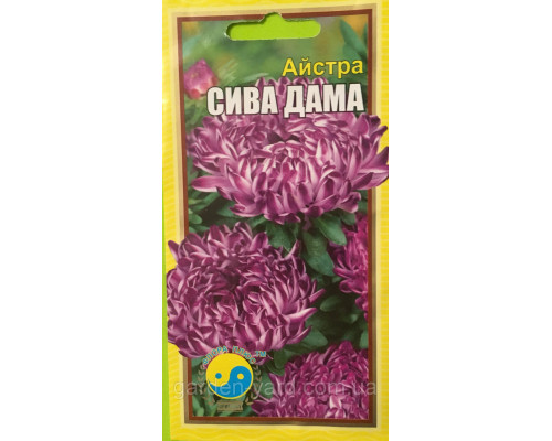 Семена цветов астра Седая дама Флора плюс