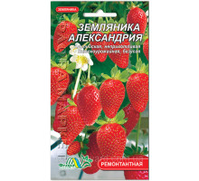 Семена земляника Александрия 0,03 Флора маркет