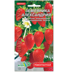 Семена земляника Александрия 0,03 Флора маркет
