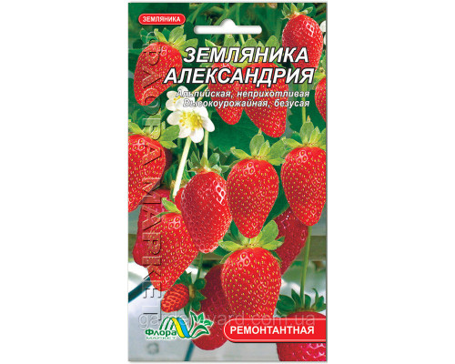 Семена земляника Александрия 0,03 Флора маркет