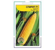Семена кукуруза сахарная Спирит F1 5 г. Syngenta Голландия