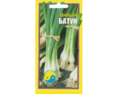 Семена Лук Батун 1 г. Флора плюс