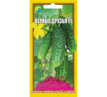 Семена огурец Верные друзья F1 0,5 г. Флора плюс