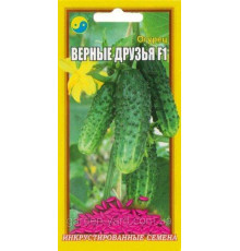 Насіння огірок Вірні друзі F1 0,5 р. Флора плюс