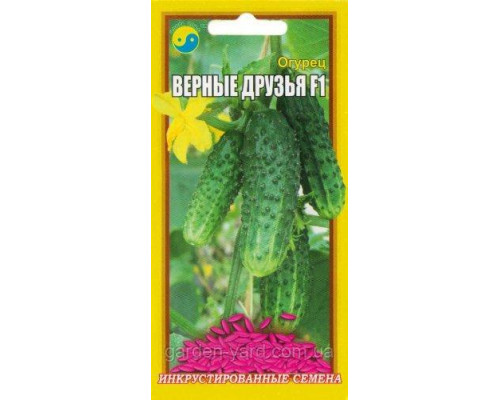 Семена огурец Верные друзья F1 0,5 г. Флора плюс