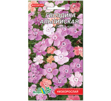 Семена цветов Гвоздика альпийская Флора маркет