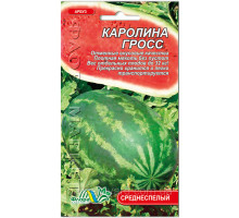 Семена арбуза Каролина Гросс 1г. Флора маркет