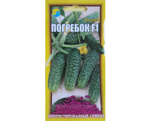 Семена огурец Погребок F1 20шт. Флора плюс