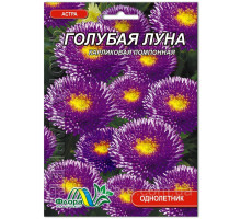 Семена цветов астра  Голубая луна Флора маркет