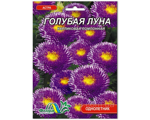 Семена цветов астра  Голубая луна Флора маркет