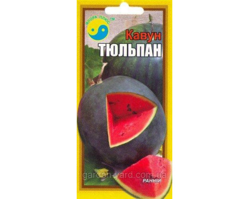 Семена арбуза Тюльпан 1,5 Флора плюс