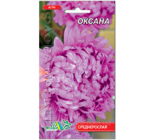 Семена цветов Астра Оксана 0,3 г. Флора маркет