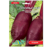 Семена свекла Опольская 10 г. Флора маркет