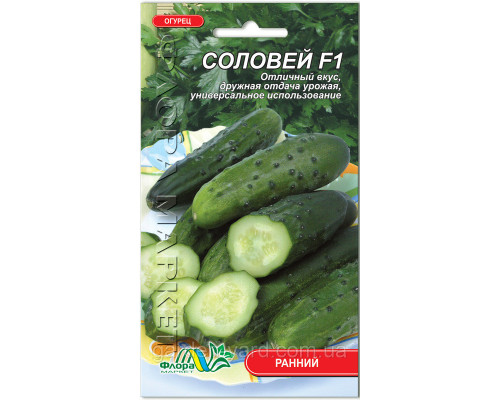 Семена огурец Соловей F1 Флора маркет 