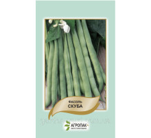 Семена фасоль спаржевая кустовая Скуба 20шт.