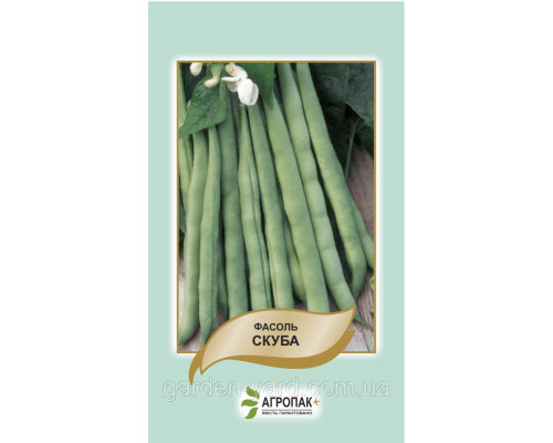 Семена фасоль спаржевая кустовая Скуба 20шт.