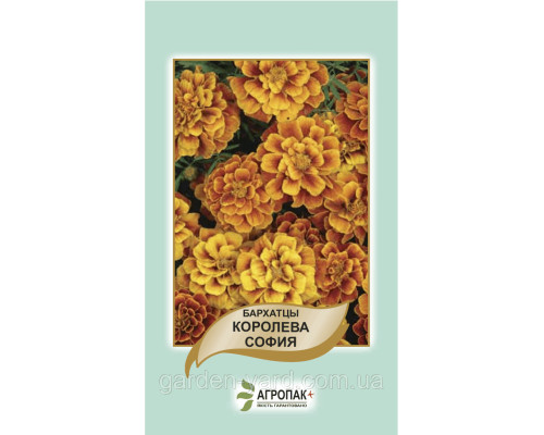 Насіння чорнобривці Королева Софія Агропак плюс