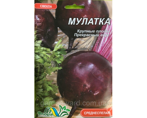 Семена свекла Мулатка 2 г. Флора маркет