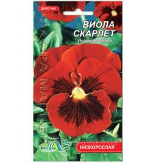 Насіння квітів Віола Скарлет, 0,05 г, Флора маркет