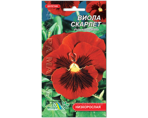 Семена цветов Виола Скарлет, 0,05г, Флора маркет