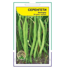 Насіння квасоля кущова Серенгеті Syngenta, 20шт.