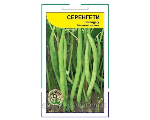 Насіння квасоля кущова Серенгеті Syngenta, 20шт.