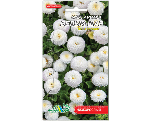 Семена цветов Маргаритка Белый шар 0,03г. Флора маркет