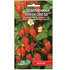 Семена земляника Блеск звезд 0.03 Флора маркет