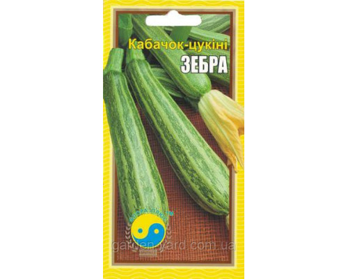Семена кабачок - цуккини Зебра 3 г. Флора плюс