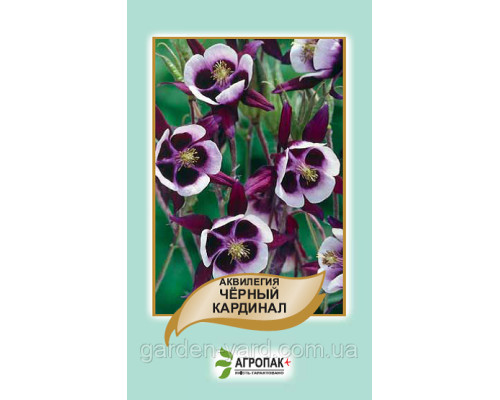 Семена цветов Аквилегия Черный Кардинал 0,1 г.  Агропак плюс