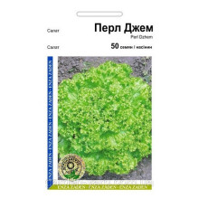 Насіння салат Перл Джем 50сем. Enza Zaden, Голландія