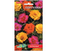 Семена цветов Портулак 0,1г. Флора маркет