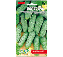 Семена огурец Вересень 1г. Флора маркет