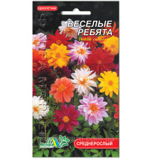 Насіння квітів жоржини Веселі хлоп'ята 0,7г. Флора маркет