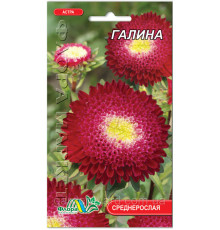 Семена цветов астра Галина  0,3 г. Флора маркет