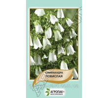 Семена цветов Симфиандра повислая Агропак плюс