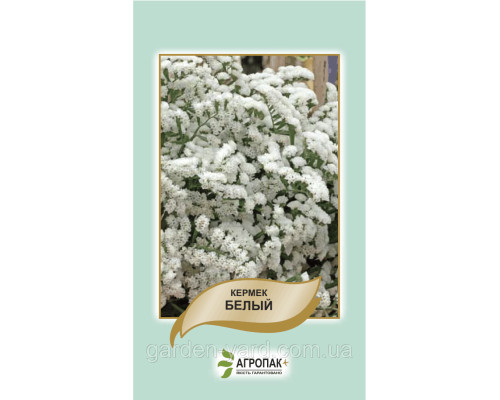 Семена цветы Кермек белый 0,2г. Агропак плюс