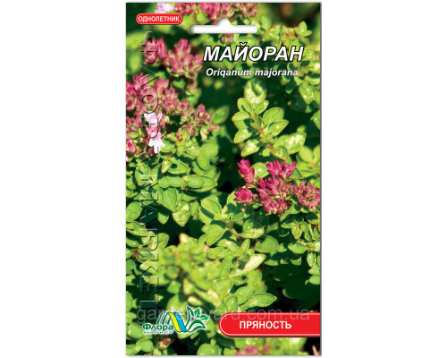 Семена Майоран 0,2г. Флора маркет