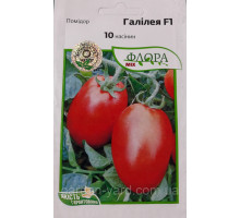 Семена томат Галилея F1 10шт.  Hazera Seeds