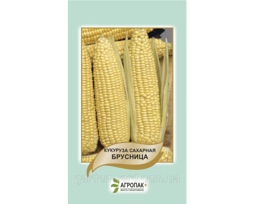 Насіння кукурудза цукрова Брусниця 10 г. Агропак плюс