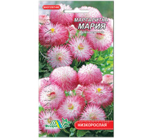 Семена цветов Маргаритка Мария  Флора маркет