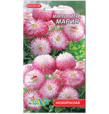 Насіння квітів Маргаритка Марія  Флора маркет