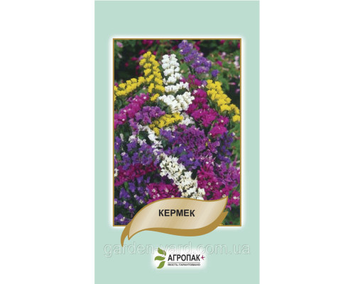 Насіння квіти Кермек суміш 0,2 р. Агропак плюс